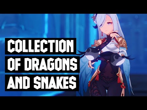 Collection of Dragons and Snakes | Genshin Impact 2.4