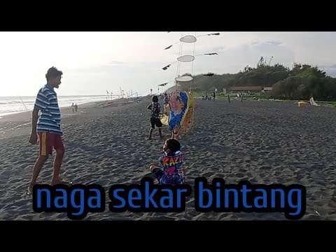 layangan naga SEKAR BINTANG tak kuasa menahan angin pantai samas