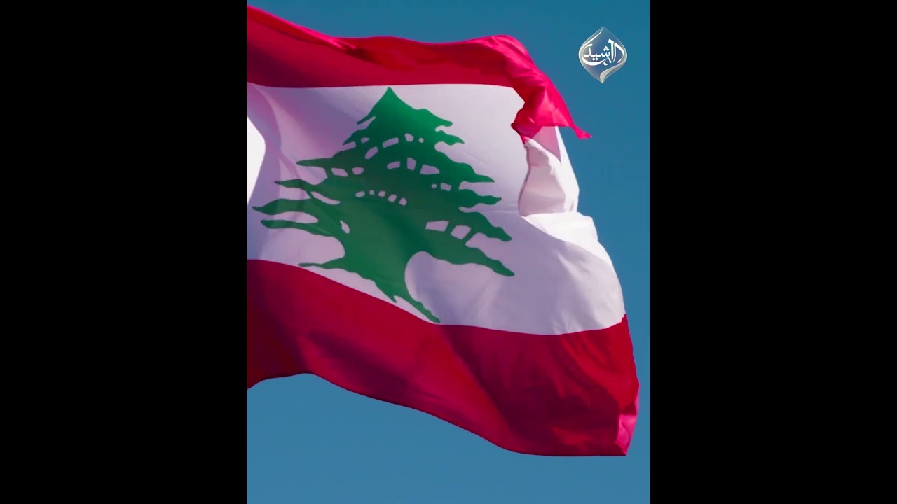 فيديو | مراقبون: موظفون حصلوا على ألقاب علمية من دون إجازات دراسية أو تفرغ فعلي