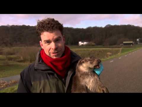 Buitendienst otter Hughjansman.nl