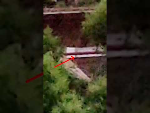 それが証拠ですか? 「タイムトラベラーズ」は未来からの5枚の写真を展示