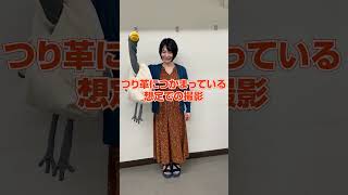 記事『引っ掛けると鳥に見えるバッグを作る』撮影のようす