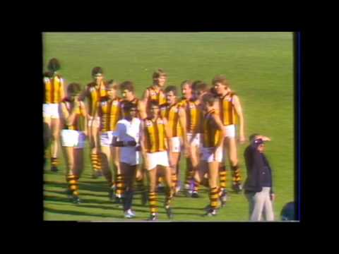 Pre Game 1984 Round 8 Carlton vs Hawthorn Princes Park