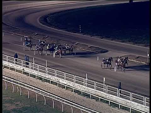 Trotto 11/01/2019 - 7ª corsa - TRIS