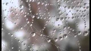 Marillion  -  Memory of water.wmv