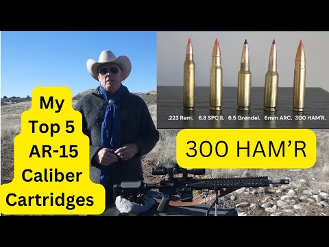 300 HAM'R by Wilson Combat / My 1 of 5 Favorite Cartridges in the AR-15 Platform