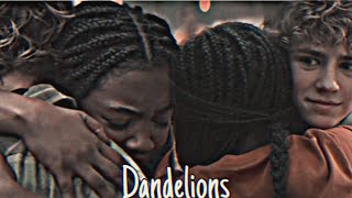 Percy & Annabeth | Dandelions