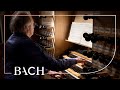 Bach - Herr Jesu Christ, dich zu uns wend BWV 709 - Van Doeselaar | Netherlands Bach Society