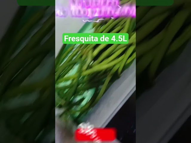 Vídeo relacionado con Tupperware Essentials Freezer Mates - Juego de recipientes poco profundos de 450 ml, almacenamiento de alimentos, fácil de apilar y organizar, duradero y reutilizable, tapa hermética, ideal para