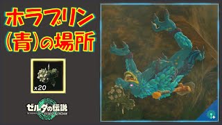 【ゼルダの伝説ティアキン】青ホラブリンの出現場所！おすすめの洞窟を公開