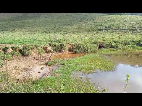 Pescaria em acaiaca M G