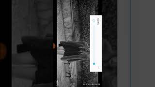 Gökçe Türk Beyefendi birde böyle dinleyin 😂