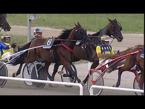 Napoli Trotto 08/09/2023 - 6ª corsa