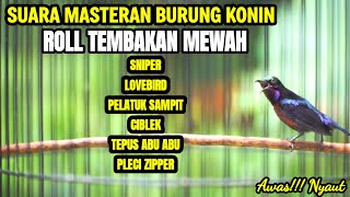 Download lagu MASTERAN BURUNG KONIN GACOR FULL TEMBAKAN BIKIN KOLIBRI NINJA ANDA JADI JUARA mp3 Download lagu MASTERAN BURUNG KONIN GACOR FULL TEMBAKAN BIKIN KOLIBRI NINJA ANDA JADI JUARA mp3