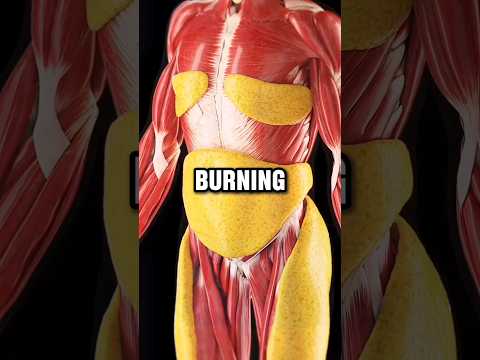 Water fasting can change your body completely | DLSL Social