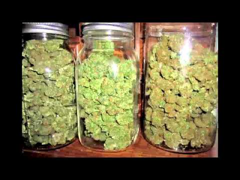 TOXICWIDOW X 13BOY X VERRATTI ~VACILEO~