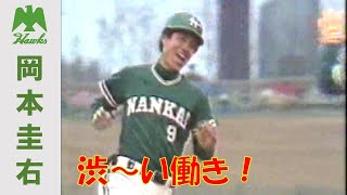 南あわじ市出身のプロ野球選手　岡本圭右