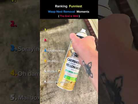 Funniest Wasp Nest Removal Moments 🤣😭