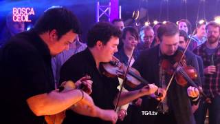 Fidil - 'The March of the Min an Toitean Bull'