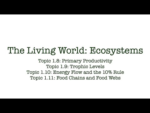 Environmental Science Classroom: Episode 1.8 to 1.11 - Productivity, Trophic Levels, and Energy Flow