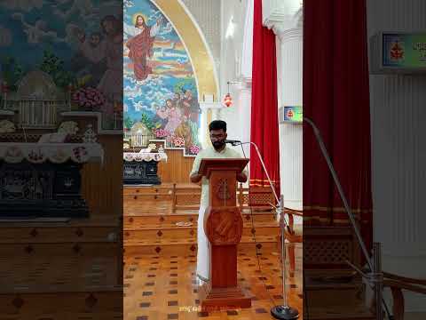 Feast of St. Carlo Acutis Celebration