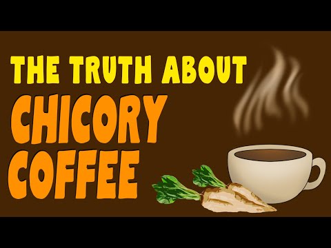 CHICORY COFFEE - The best health coffee alternative