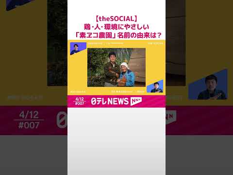 産卵鶏に禁止されている食品は何ですか?健康的な食生活に役立つリスト！  庭園