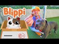 Blippi Visits An Animal Shelter Learn Animals For Children And The Pet Song