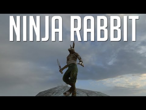 Ninja Rabbit kicks ass! (Overgrowth Alpha)