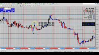 Binary Options EOD | Forex Strategy in one