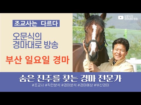 2월1일 일요-오문식- 부산경마,조교사가 분석하는 진실한방송