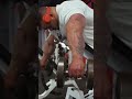 Rear delt fly. John Meadows style! From my latest shoulder day video! Check it out! #shorts