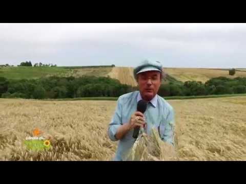 PAROLA DI POLLICE VERDE 17/09/2016