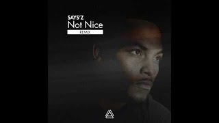 Says'z - Not Nice Remix ( Audio )