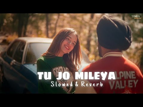 JUSS - Tu Jo Mileya (Slowed & Reverb) MixSingh | New Punjabi Romantic Song 2024