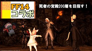 FF14　Deep Dungeon　なるべくたくさん潜りたいマン