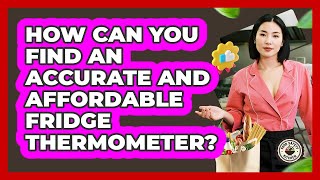 How Can You Find An Accurate And Affordable Fridge Thermomet