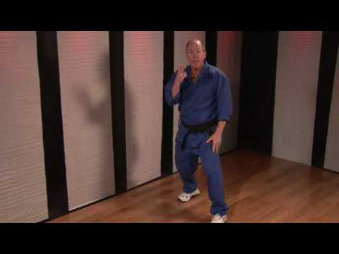 How to Kickbox and Fight with Power and Footwork by 8th Degree Black Belt World Champion John Graden