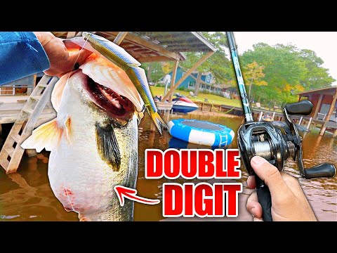 RECORD Day Swimbait Fishing a PUBLIC Lake! (Multiple Double Digit Bass)