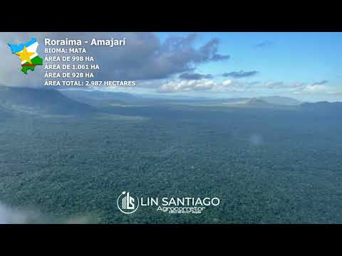 Vendo áreas de Fazendas noMunicípio de Amajarí - RR.