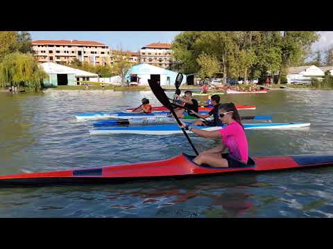 Bence és az MTK-s kölykök