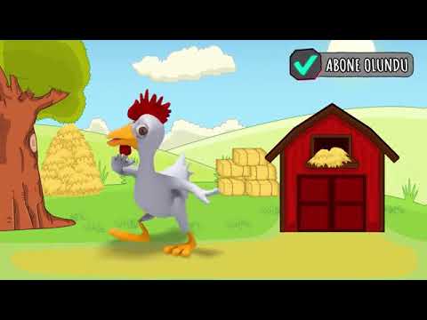 zeynep ile çillide horozum izleyelim iyi seyirler