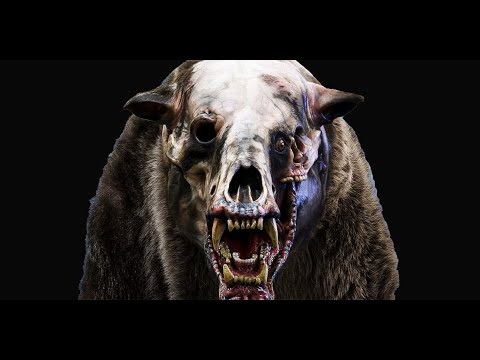 The Bear scene Annihilation 4K
