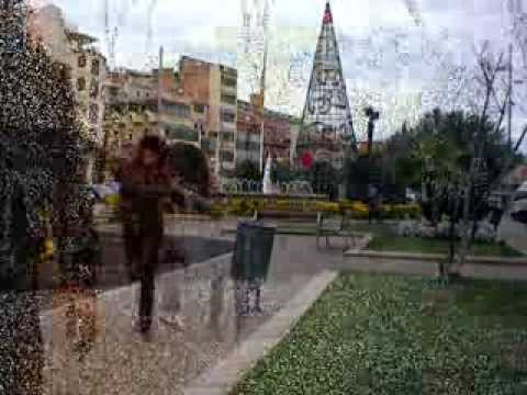 PRIMO biglietto solo andata