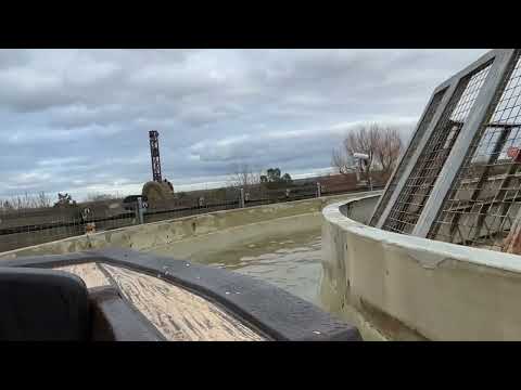 Tiger Rock at chessington, passholder day😊