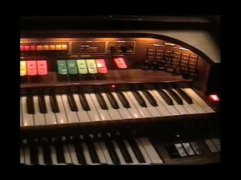 La Mitad Del Año - Pau