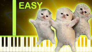 Cool (That or That) Meme Song - EASY Piano Tutorial