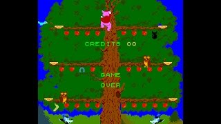 Arcade Game: Pig Newton (1983 Sega)