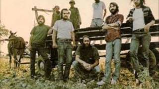 Ozark Mountain Daredevils-If I Only Knew