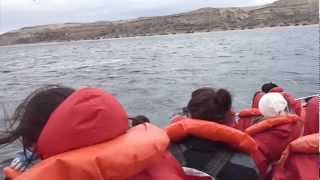 20120917_20 - Madryn-Ballenas-Pingüinos-Dique.wmv